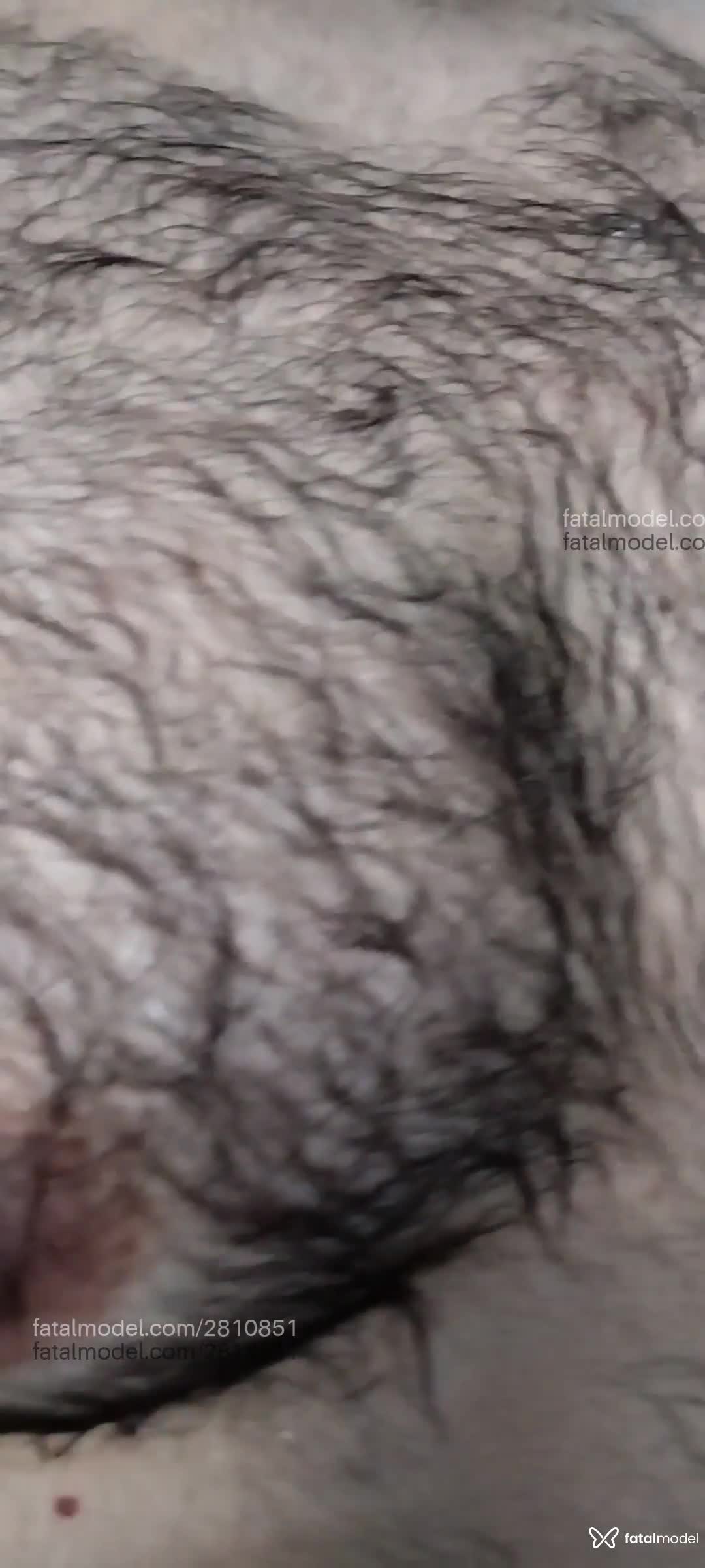 Acompanhante homem com cabelo castanho de olhos castanhos em Virtual Acompanhante homem com cabelo castanho de olhos castanhos em Virtual - Leopeludo