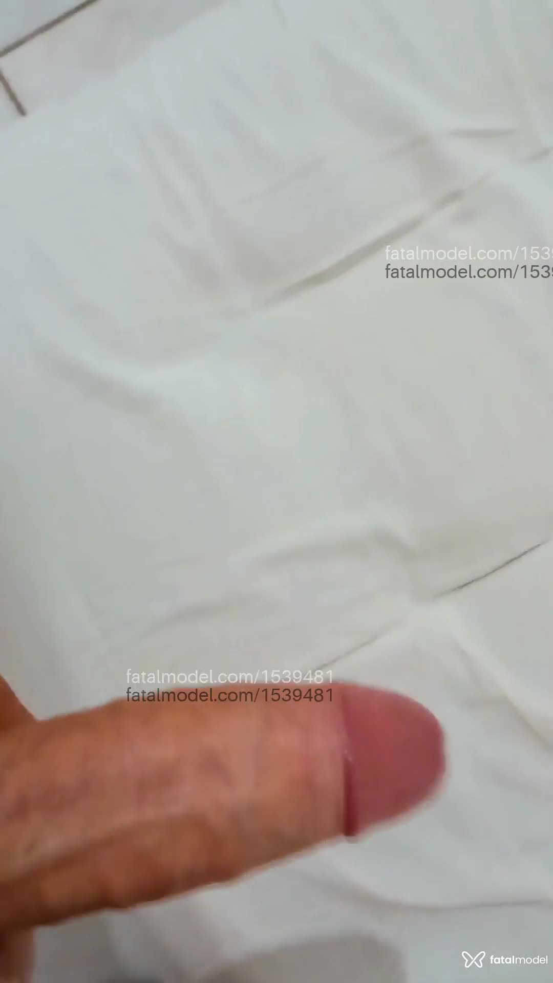 Vídeo 8