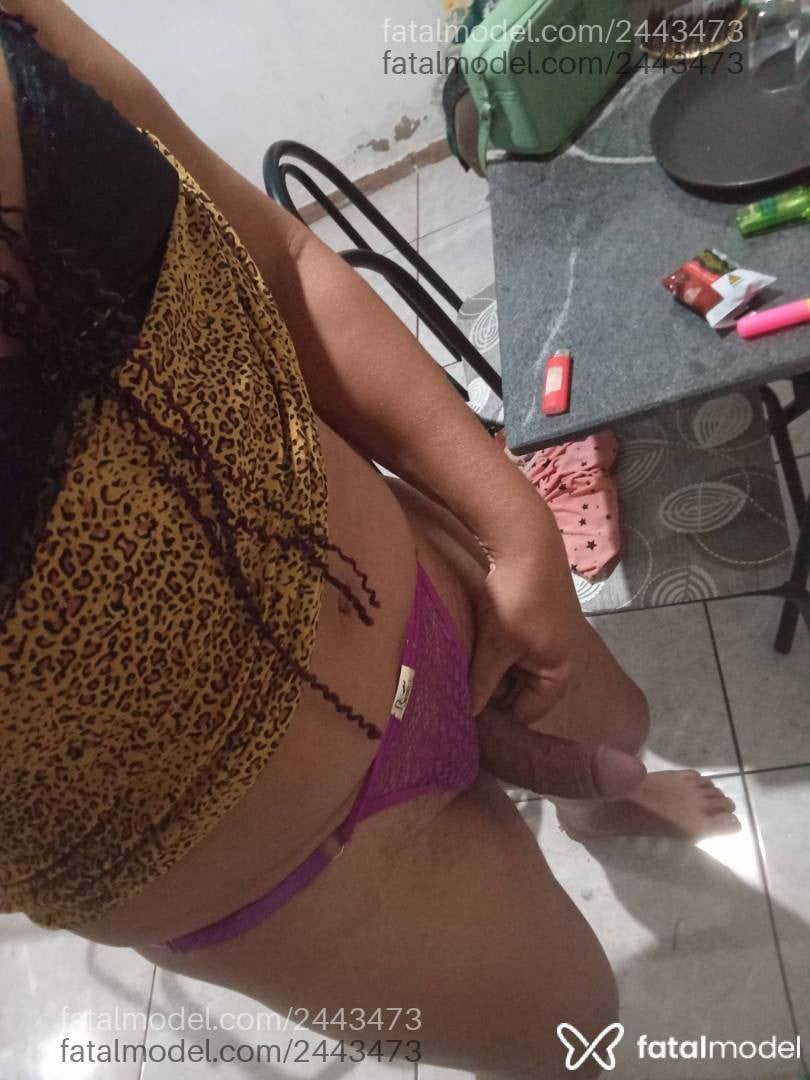 Imagem 12