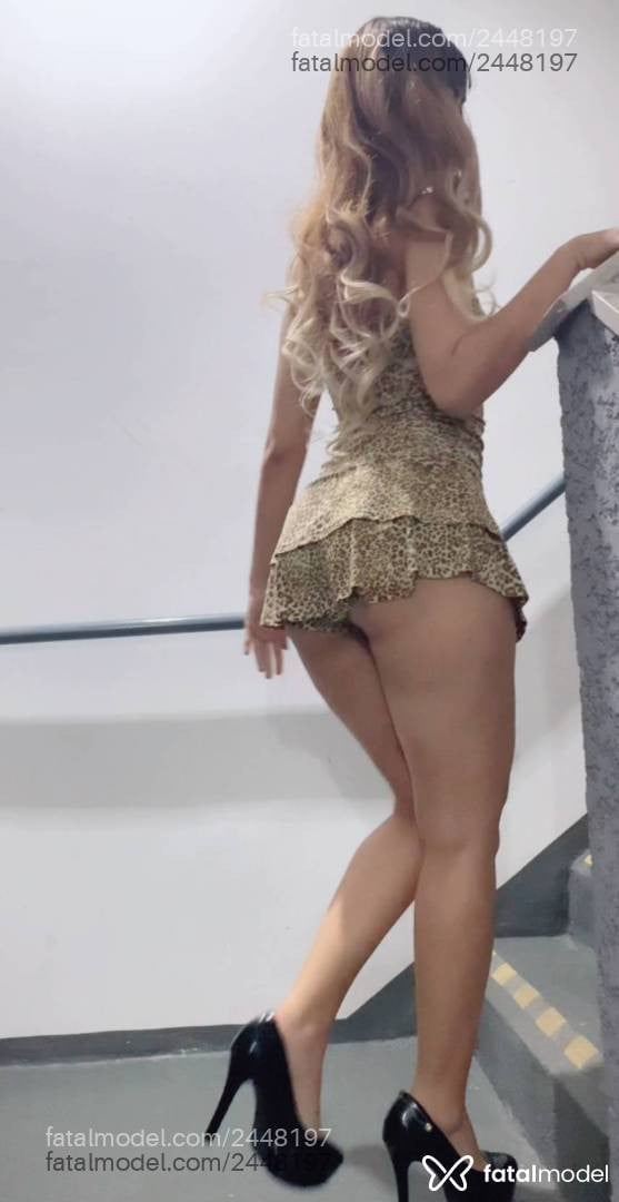 Acompanhante mulher morena (o) de olhos castanhos - Anjinhaa