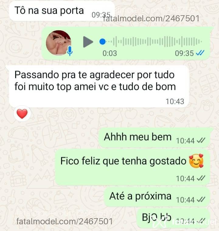 Acompanhante mulher com cabelo castanho de olhos castanhos em Araguaína - Myla Porto