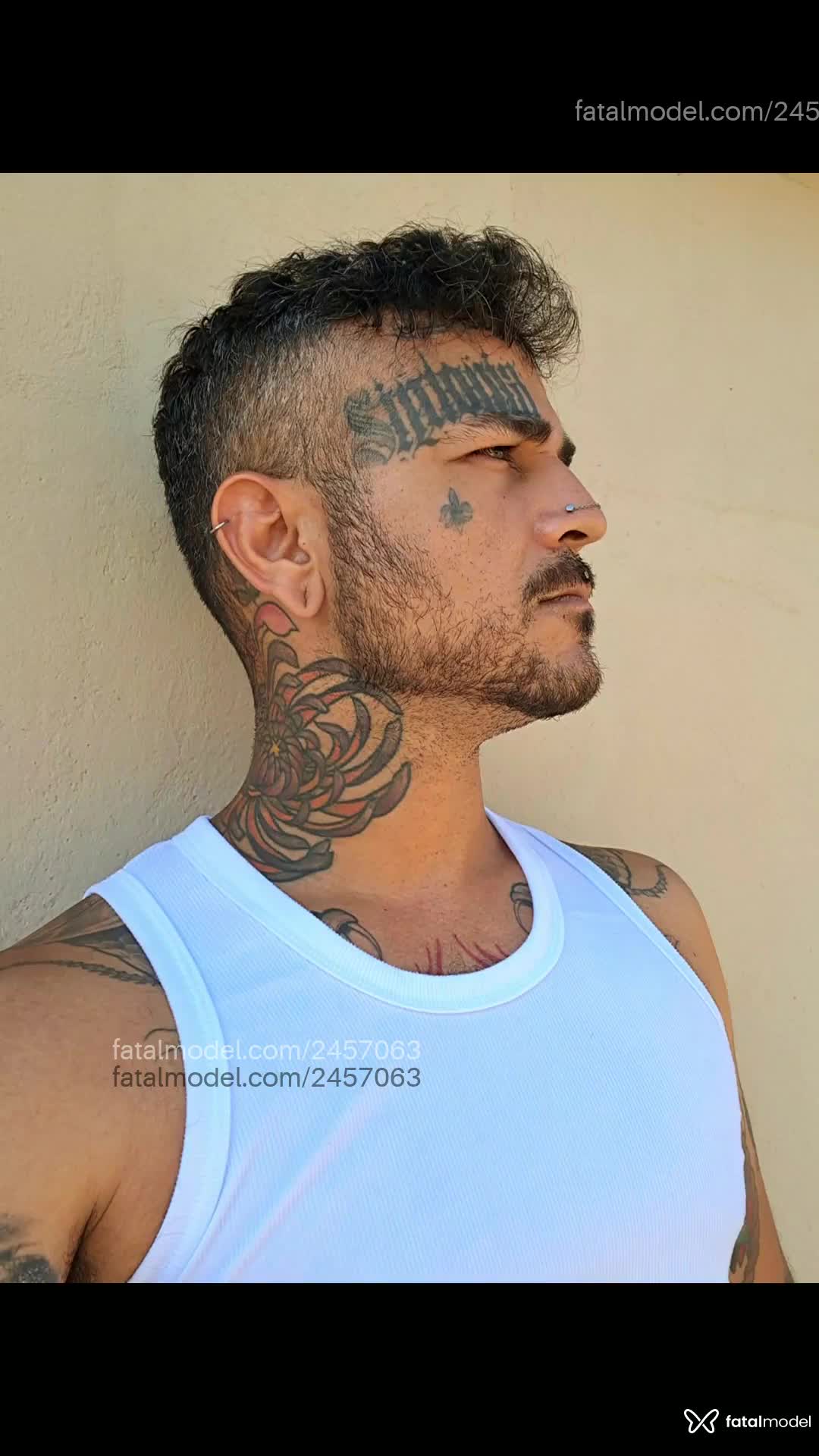 Acompanhante homem morena (o) de olhos castanhos - Rafael Souza