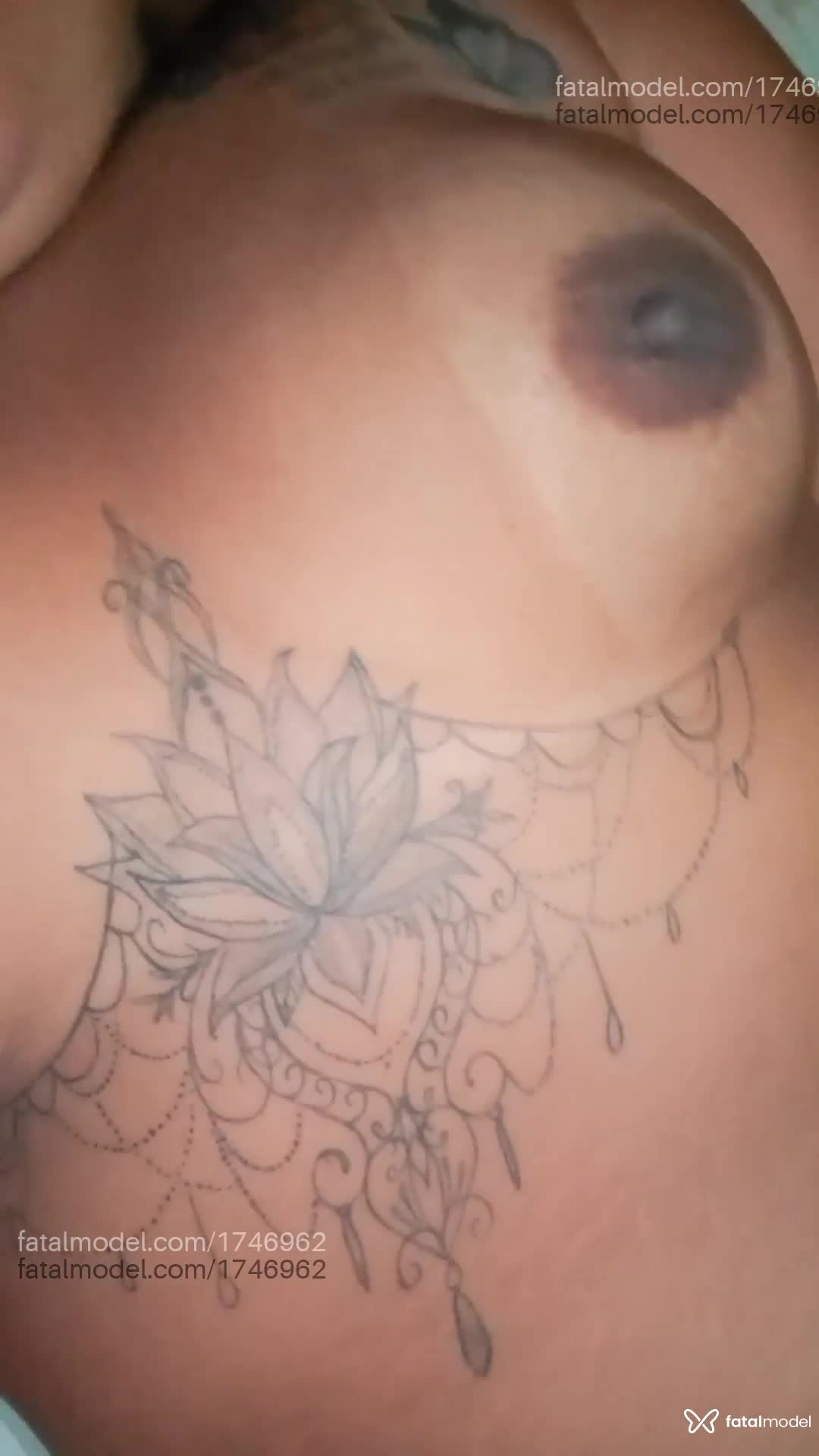 Acompanhante mulher morena (o) de olhos pretos em Ji-Paraná - Sheylla