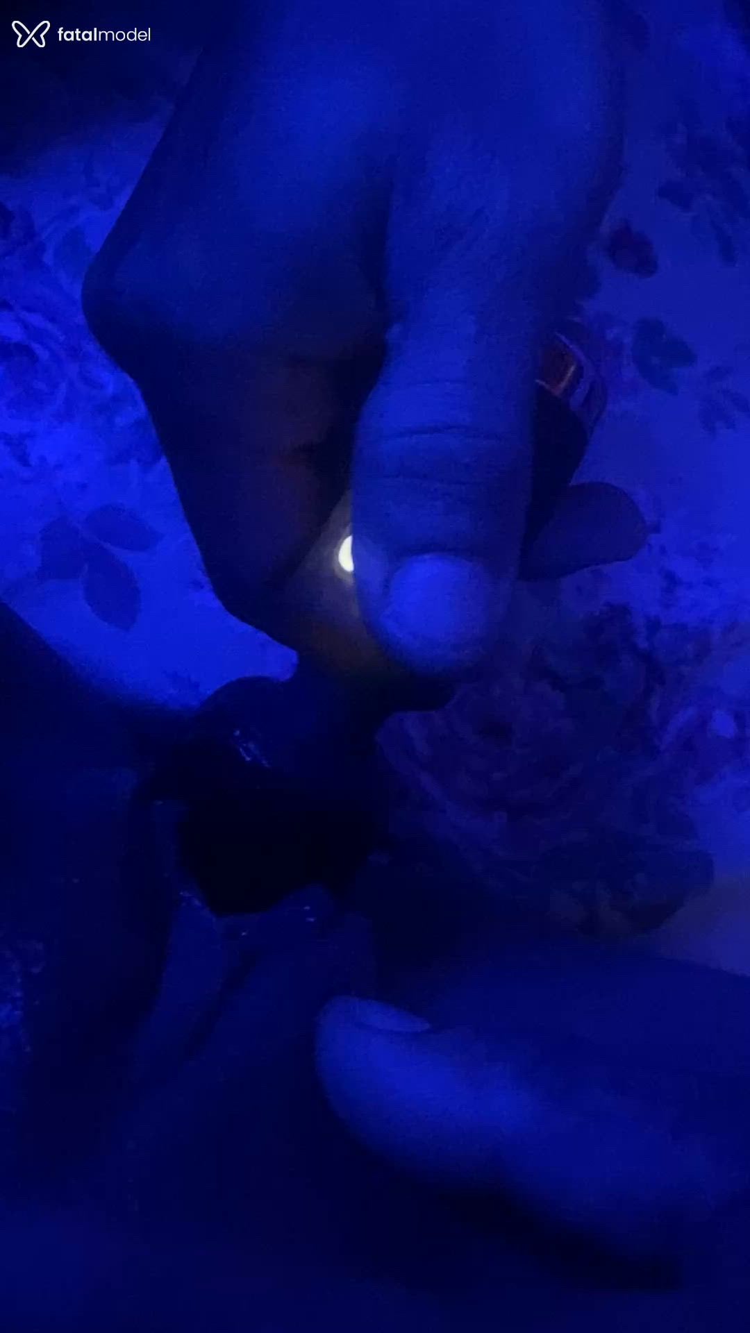 Acompanhante mulher morena (o) de olhos castanhos em Parnamirim Acompanhante mulher morena (o) de olhos castanhos em Parnamirim - Pretinhasafadinha