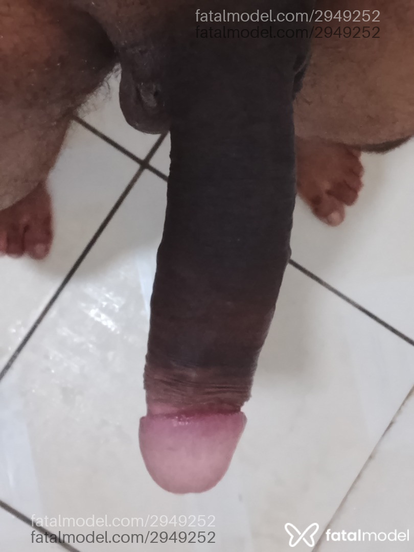 Acompanhante homem morena (o) de olhos castanhos em Xinguara - Fabio Santos