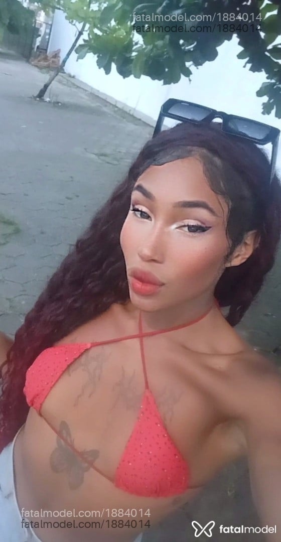 Acompanhante mulher trans morena (o) de olhos mel em Palhoça - Mellysa