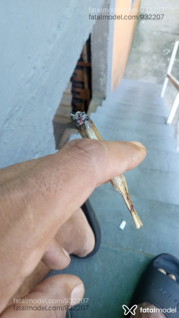 Acompanhante homem morena (o) de olhos castanhos em Balneário Camboriú - Baianinho