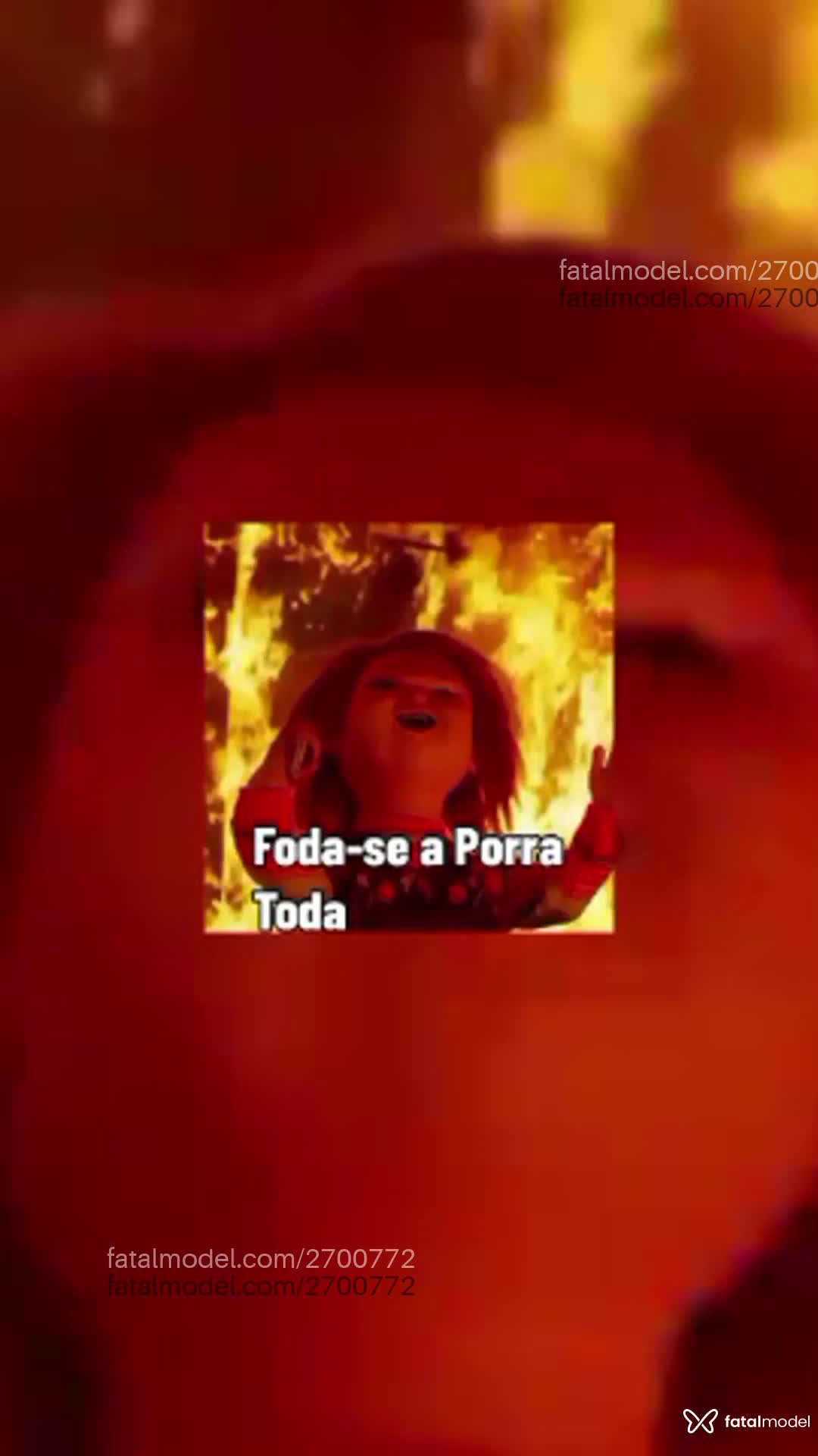 Vídeo 5