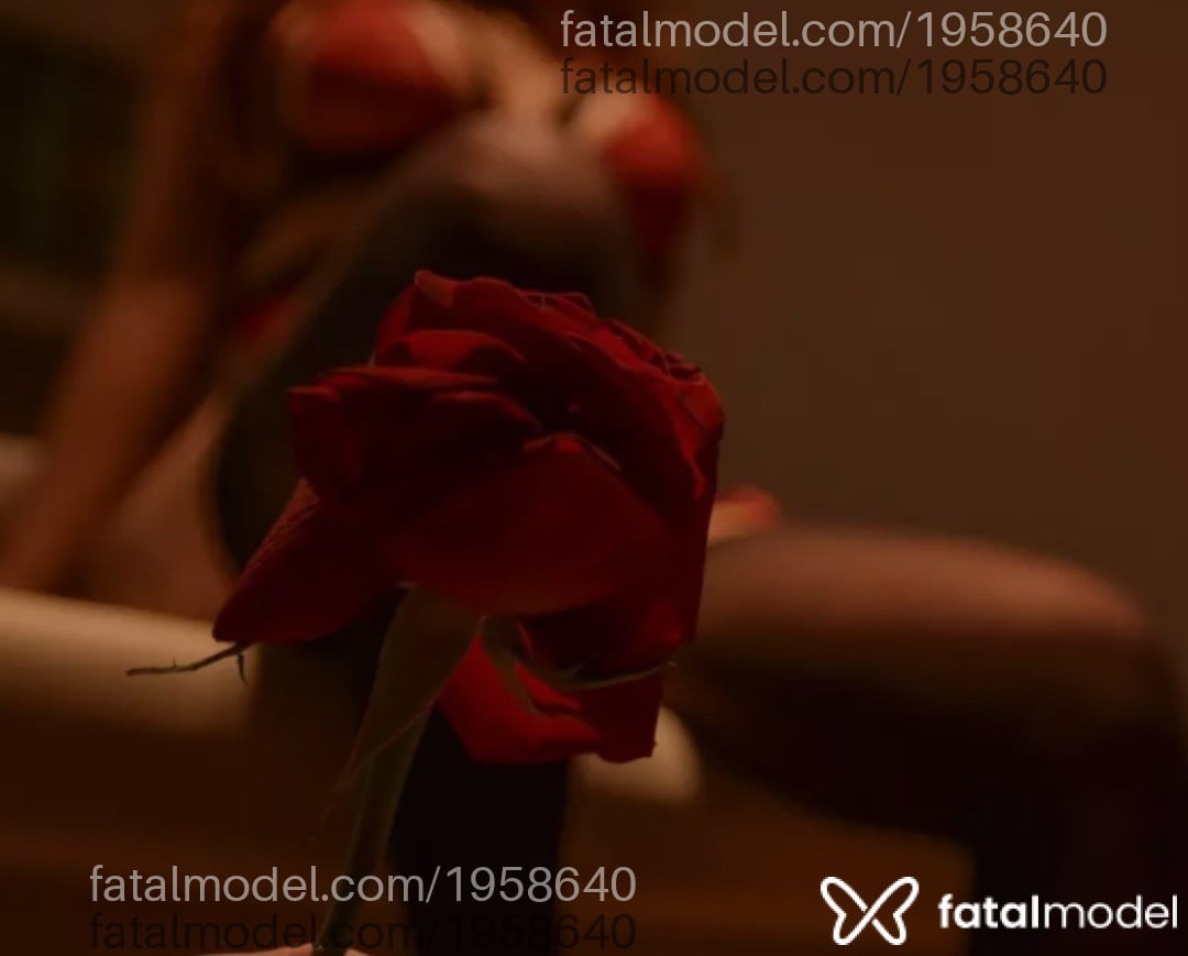 Acompanhante mulher com cabelo castanho de olhos castanhos em Virtual - Vanessa lima