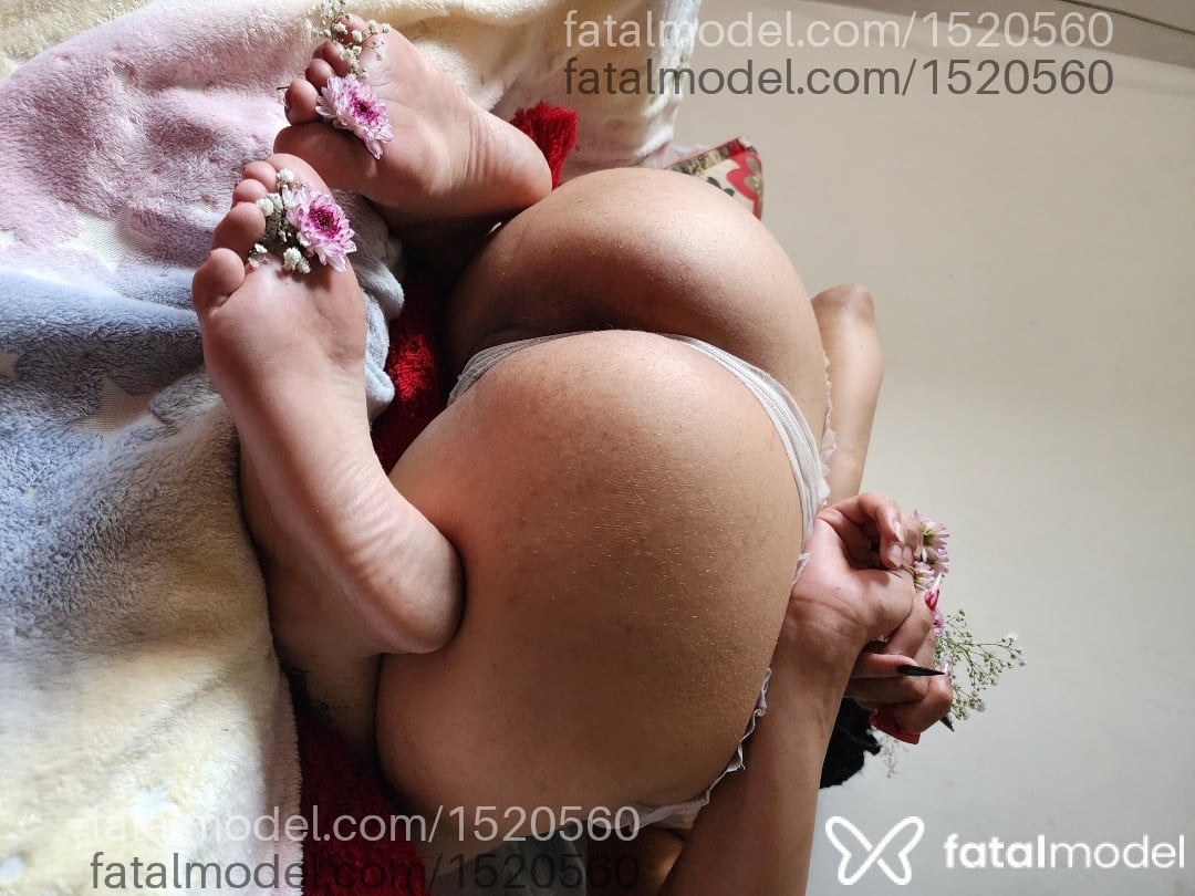 Acompanhante mulher com cabelo castanho de olhos mel em Viçosa Acompanhante mulher com cabelo castanho de olhos mel em Viçosa - Larissa