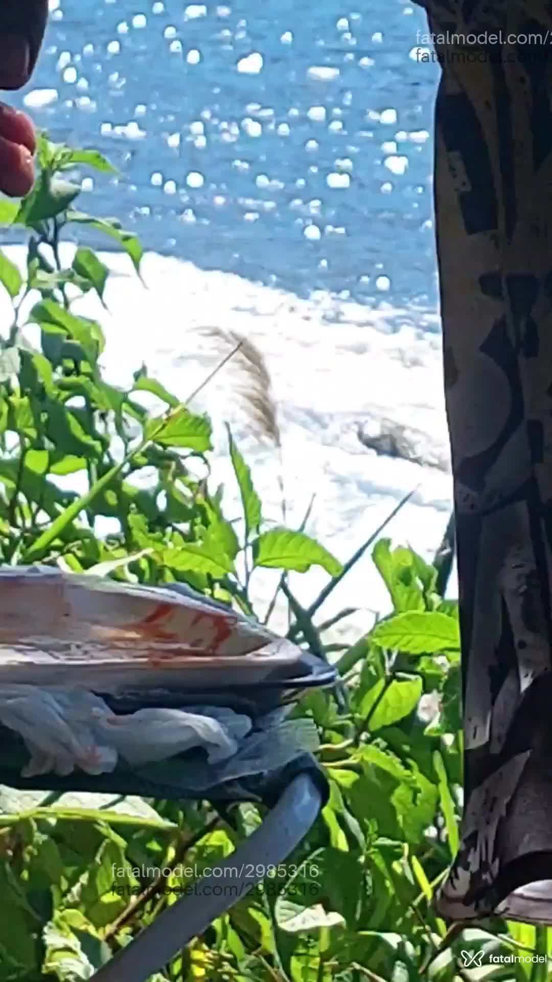 Acompanhante homem trans morena (o) de olhos mel em Campinas - Pretopitbull