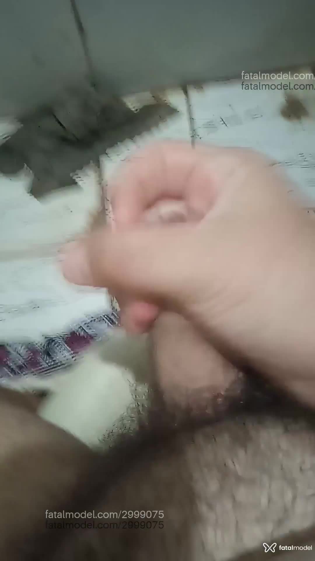 Acompanhante mulher trans morena (o) de olhos castanhos em Laranjeiras do Sul - Brenno Alves