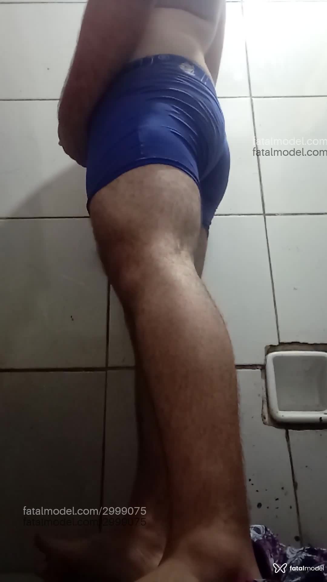 Acompanhante mulher trans morena (o) de olhos castanhos em Laranjeiras do Sul - Brenno Alves