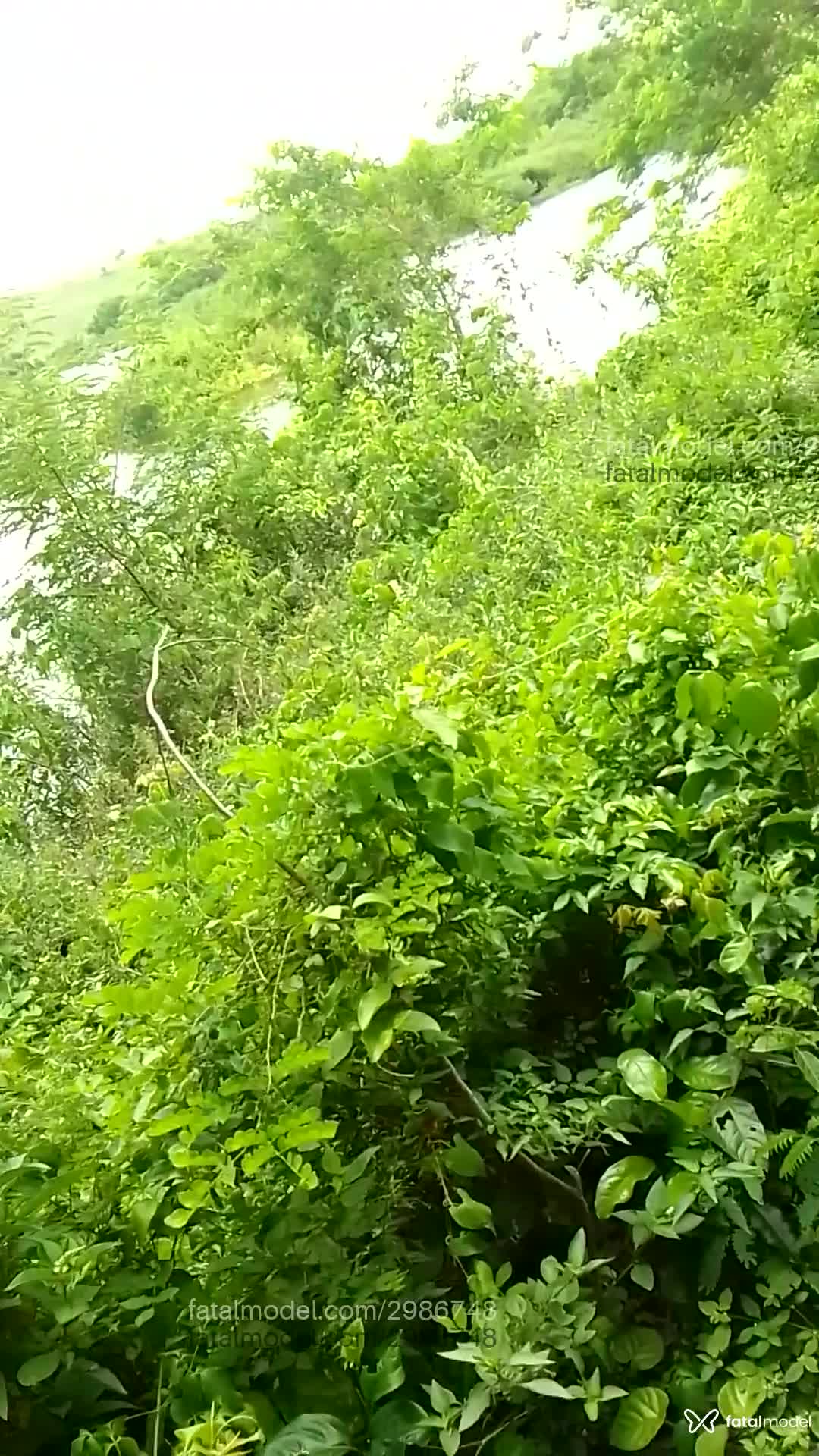 Acompanhante homem com cabelo castanho de olhos castanhos em Feira de Santana - Gui
