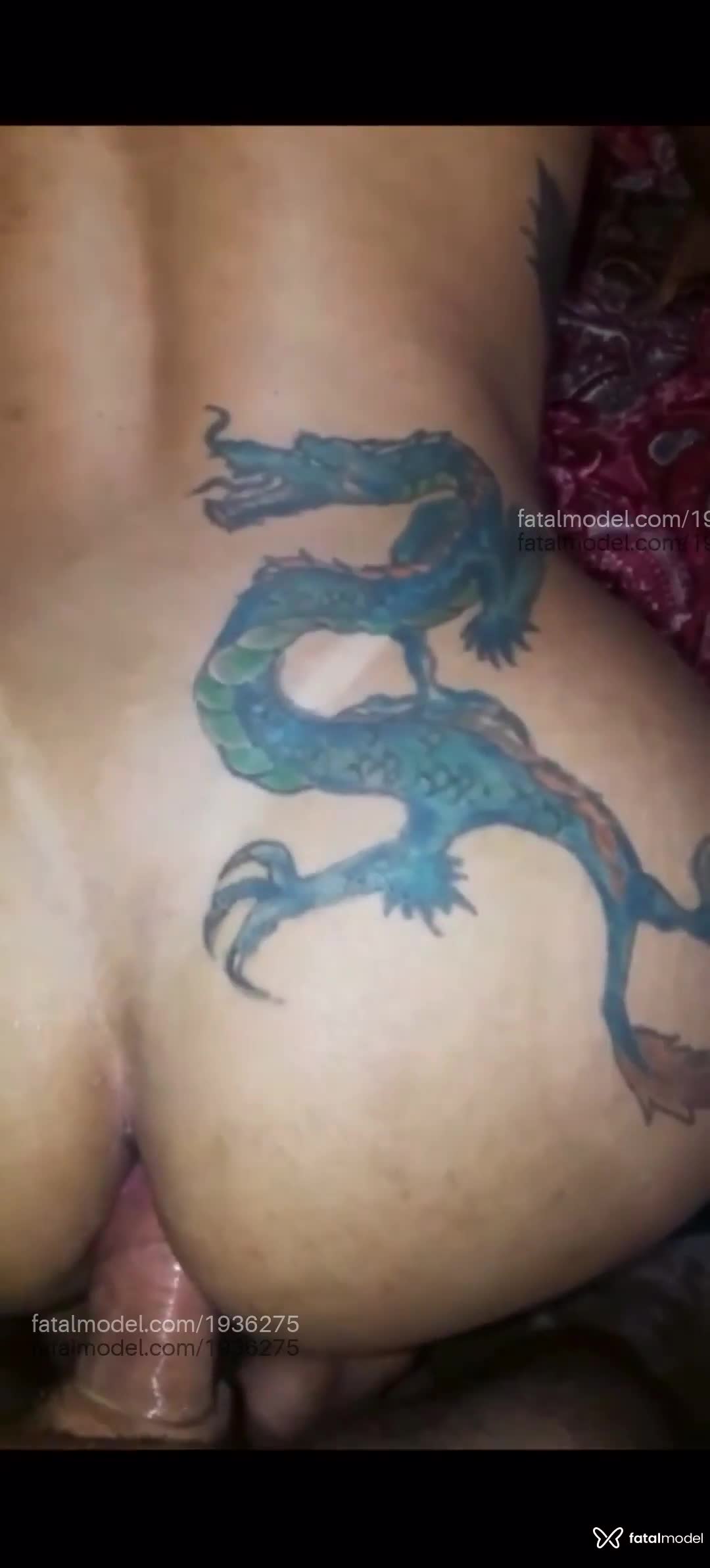 Acompanhante mulher trans morena (o) de olhos pretos em Canela - Darphinny Sam