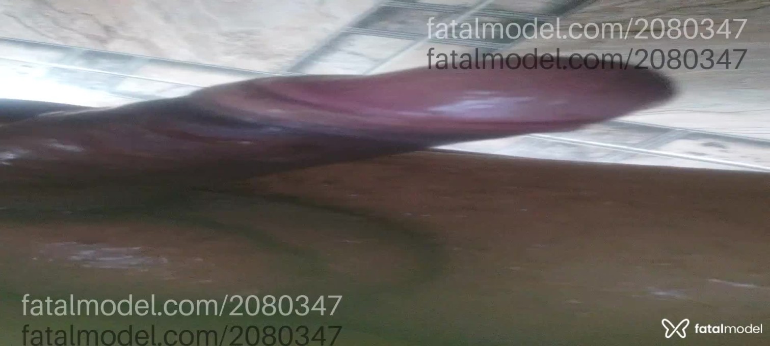 Acompanhante homem morena (o) de olhos castanhos em Cambuí - Jeferson Santos
