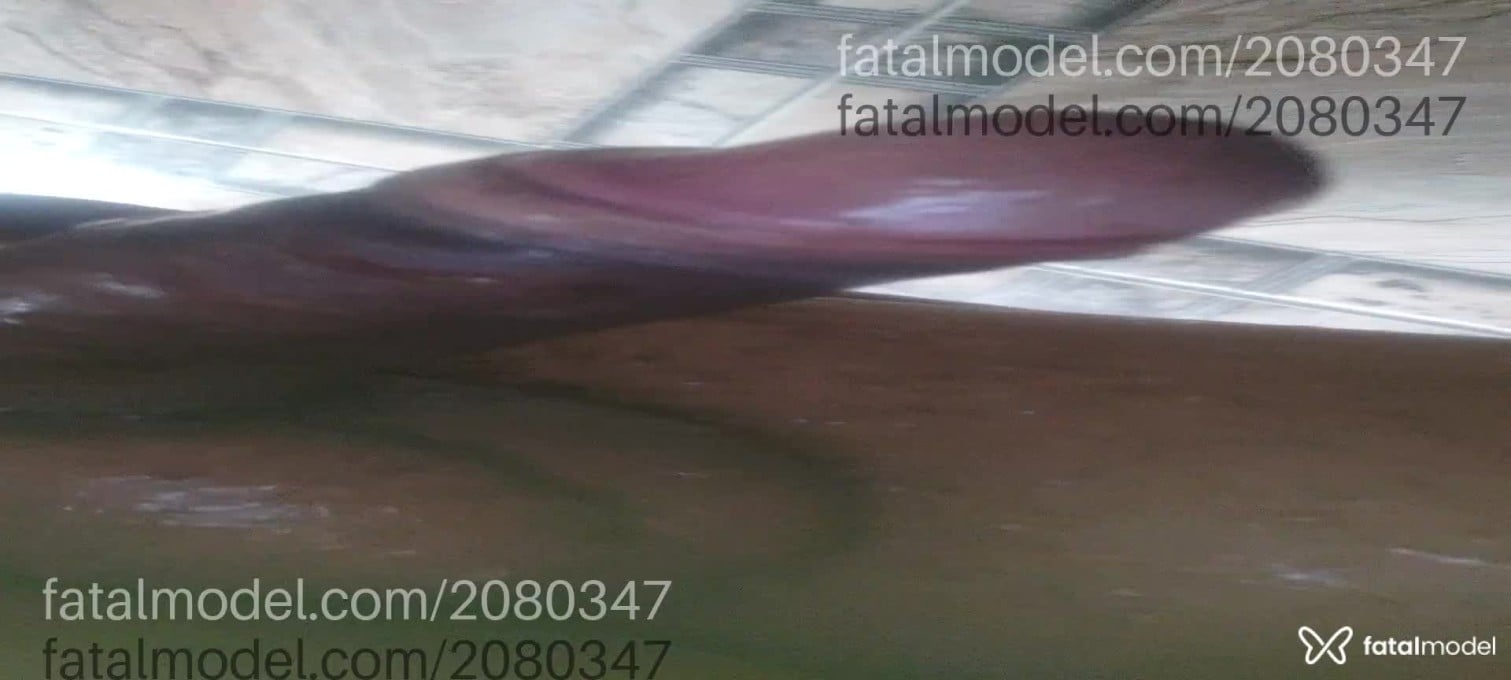 Acompanhante homem morena (o) de olhos castanhos em Cambuí - Jeferson Santos