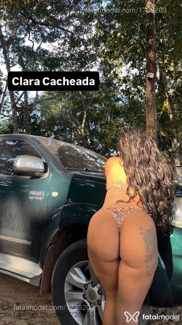 Imagem 7