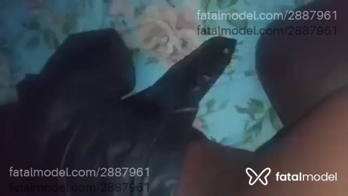 Acompanhante mulher morena (o) de olhos pretos - Louise Acompanhante mulher morena (o) de olhos pretos - Louise