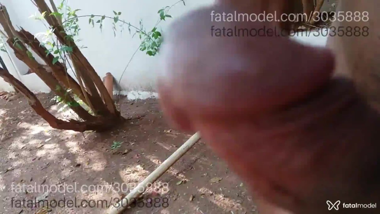 Acompanhante homem morena (o) de olhos pretos em Palmas Acompanhante homem morena (o) de olhos pretos em Palmas - Baiano