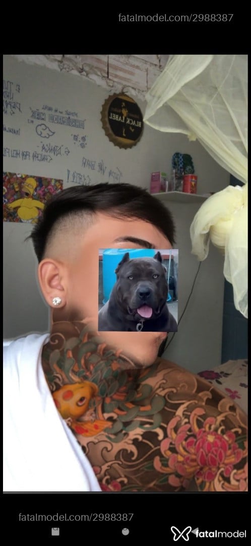 Acompanhante homem com cabelo castanho de olhos pretos em Salinópolis Acompanhante homem com cabelo castanho de olhos pretos em Salinópolis - Douglas Sampaio