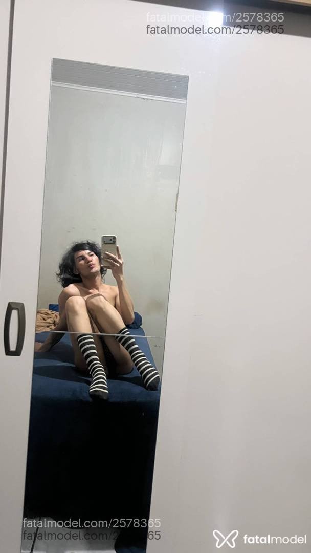 Acompanhante mulher trans morena (o) de olhos pretos - Zonna Martins