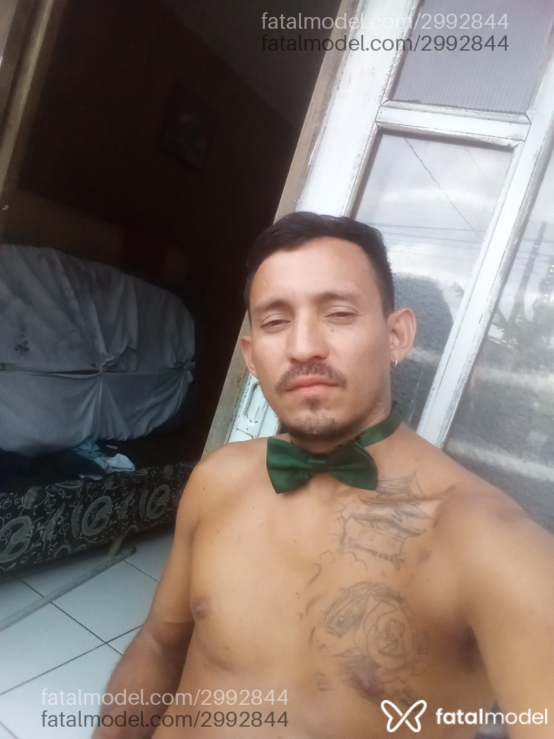 Acompanhante homem com cabelo castanho de olhos castanhos em Virtual - índio