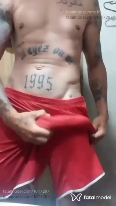Acompanhante homem morena (o) de olhos castanhos em Porto Alegre - Matheus Rodrigues