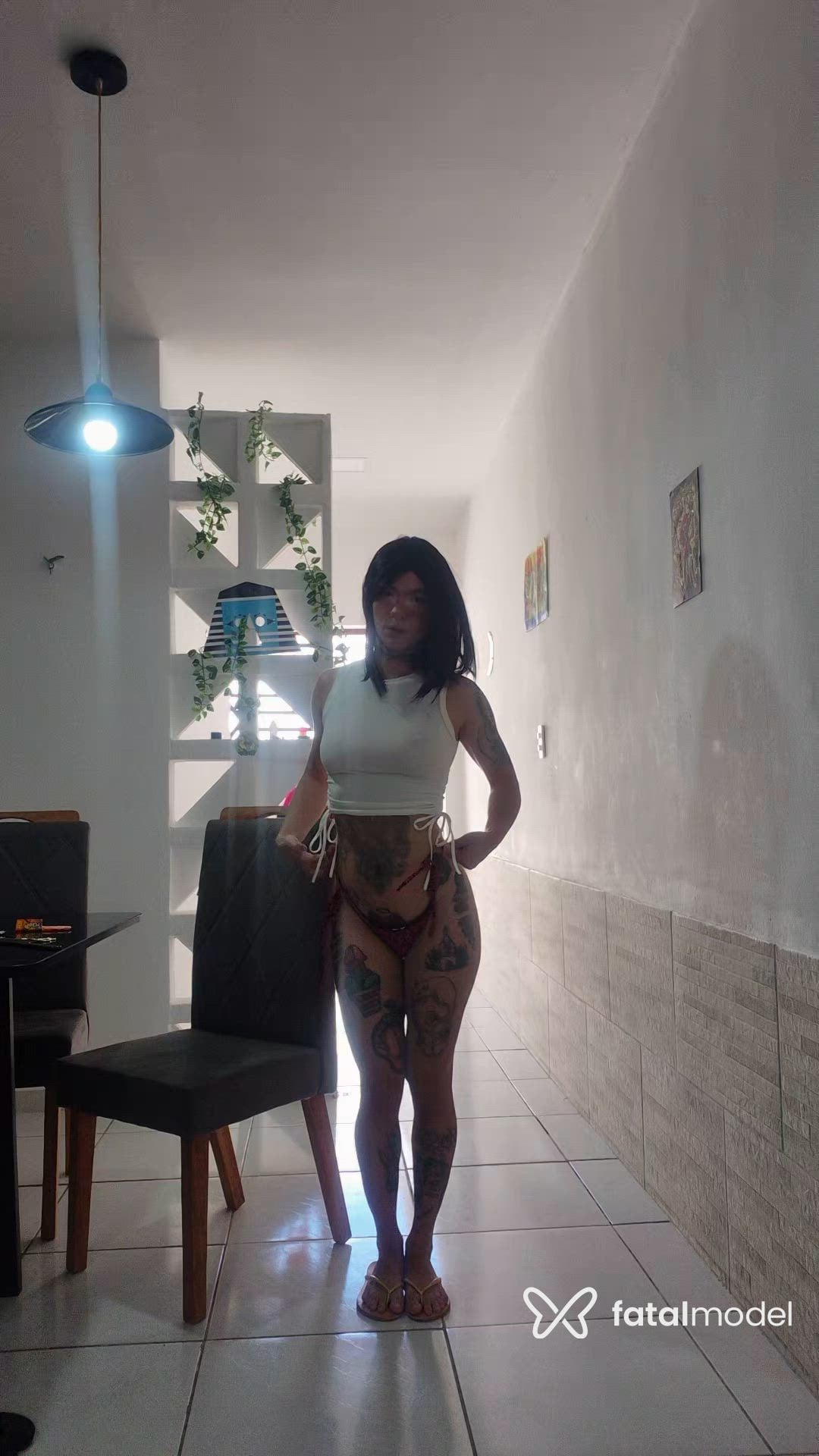 Vídeo 1