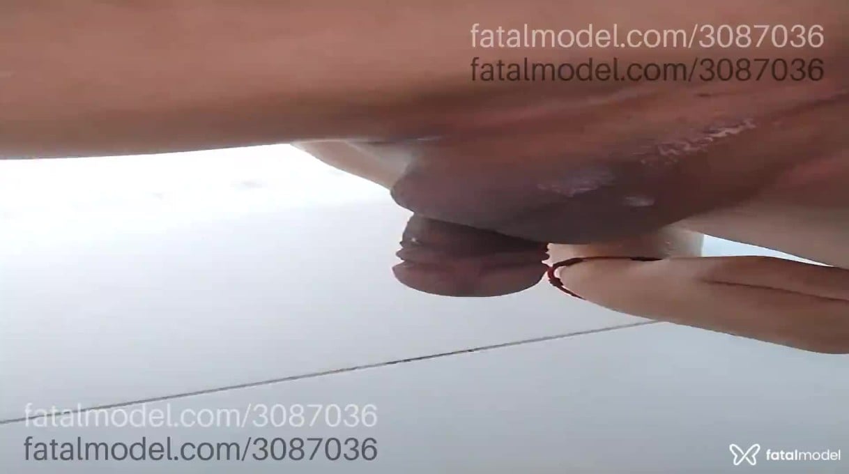 Acompanhante mulher trans morena (o) de olhos verdes em Curitiba - Alice Wonder
