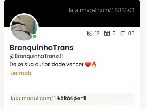 Acompanhante mulher trans com cabelo castanho de olhos castanhos em São José do Rio Preto - Vitória