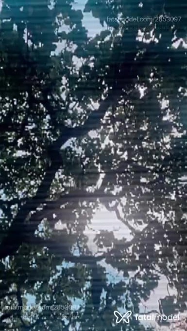 Acompanhante homem trans morena (o) de olhos castanhos em Pirapora Acompanhante homem trans morena (o) de olhos castanhos em Pirapora - Morena Flor