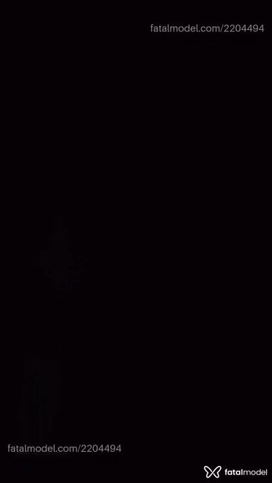 Vídeo 2