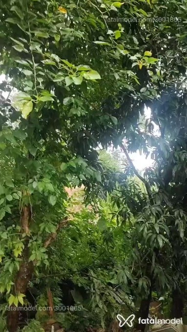 Vídeo 12
