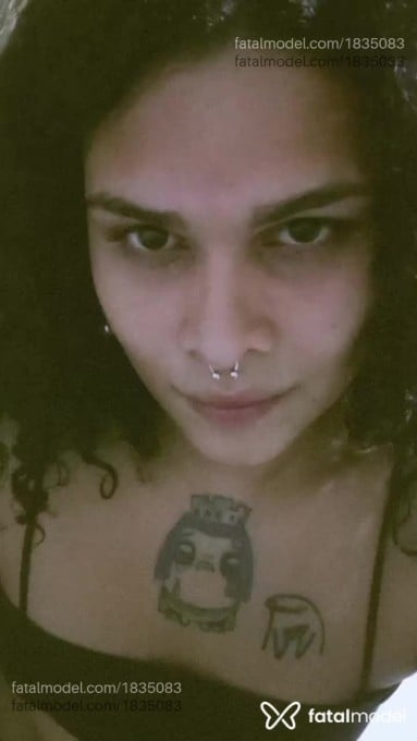 Acompanhante mulher trans morena (o) de olhos pretos em Marabá - Josy Silva