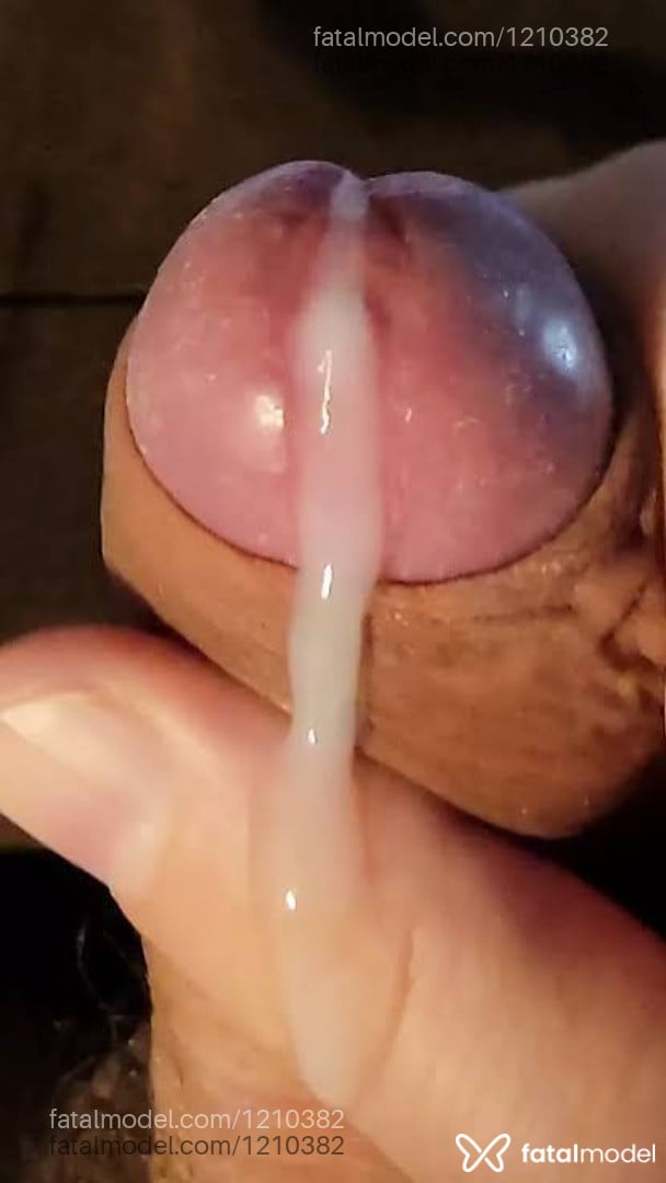 Acompanhante mulher trans com cabelo castanho de olhos castanhos em Santo Ângelo Acompanhante mulher trans com cabelo castanho de olhos castanhos em Santo Ângelo - Alexandra