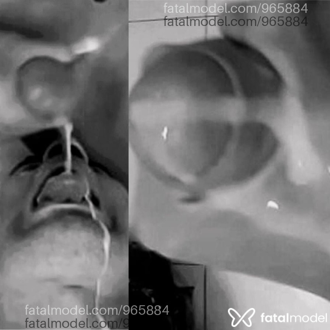 Acompanhante travesti com cabelo castanho de olhos mel em Virtual - Ale