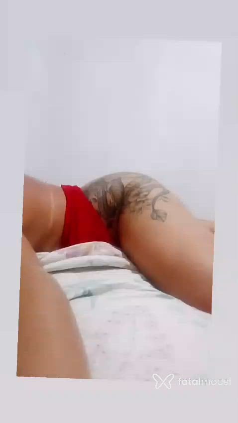 Acompanhante mulher morena (o) de olhos castanhos - Amanda Dpaula Acompanhante mulher morena (o) de olhos castanhos - Amanda Dpaula