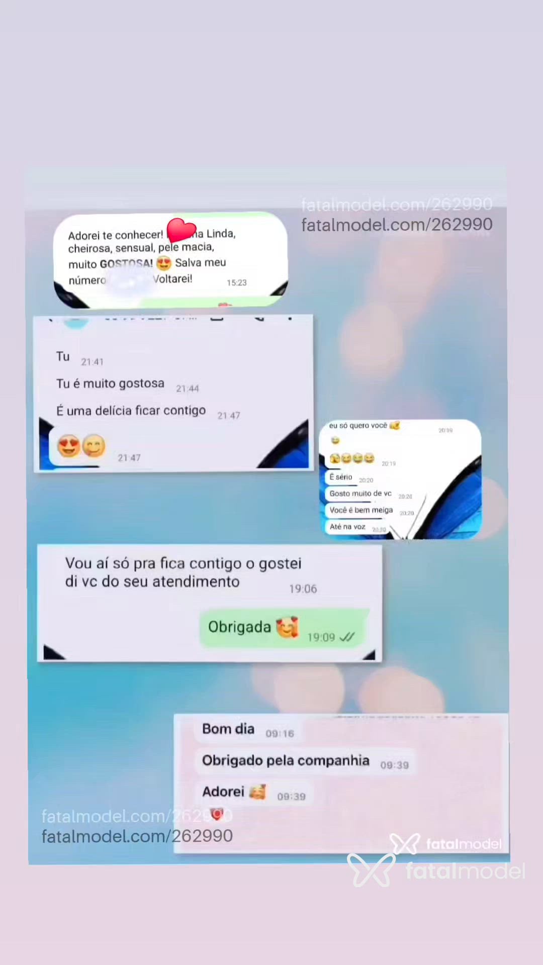 Vídeo 1