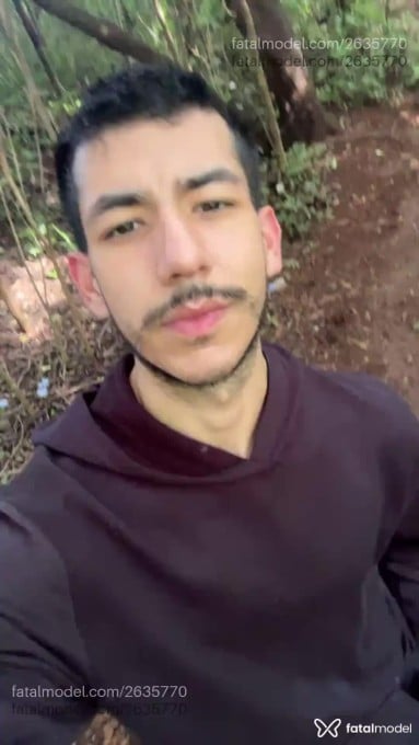 Acompanhante homem com cabelo castanho de olhos castanhos em Virtual Acompanhante homem com cabelo castanho de olhos castanhos em Virtual - Mestiço