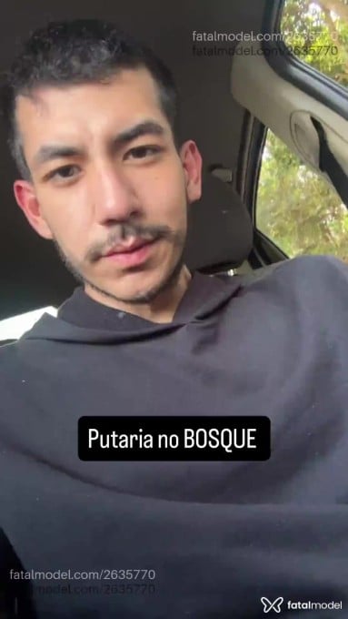 Acompanhante homem com cabelo castanho de olhos castanhos em Virtual Acompanhante homem com cabelo castanho de olhos castanhos em Virtual - Mestiço