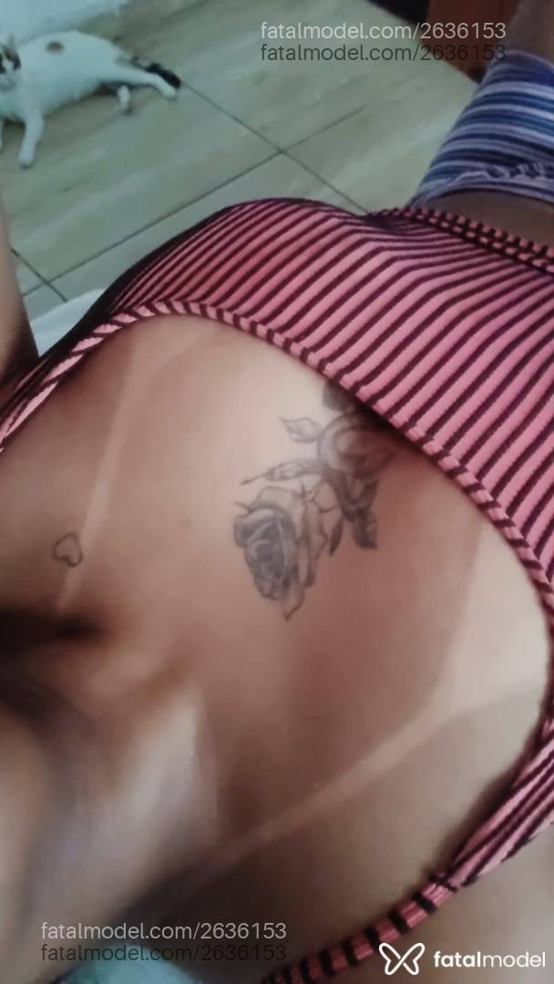 Acompanhante mulher morena (o) de olhos pretos em Virtual - Marisol
