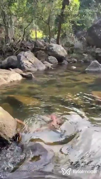 Acompanhante mulher morena (o) de olhos pretos em Campos dos Goytacazes - Morena Souza