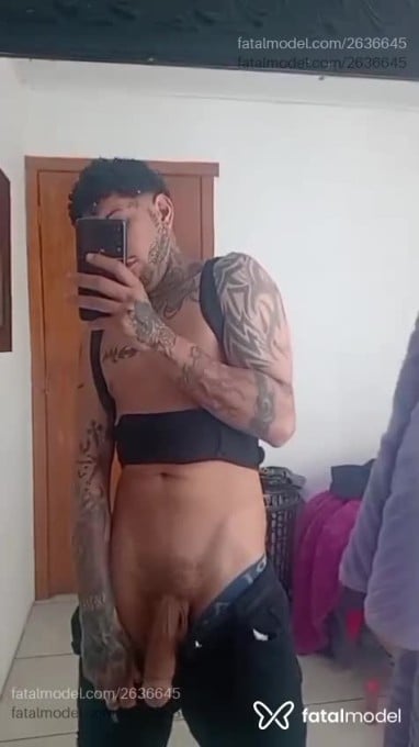Acompanhante homem morena (o) de olhos castanhos em Virtual - Dotadolitoral