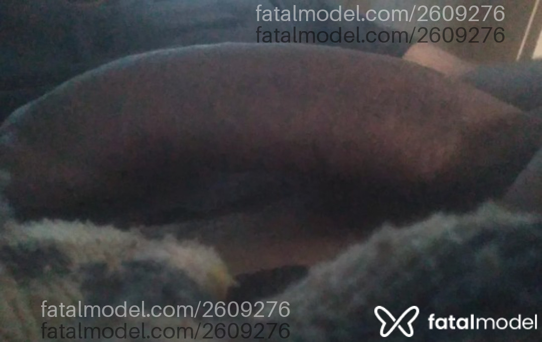 Acompanhante homem morena (o) de olhos castanhos em Londrina - Davi Liexx
