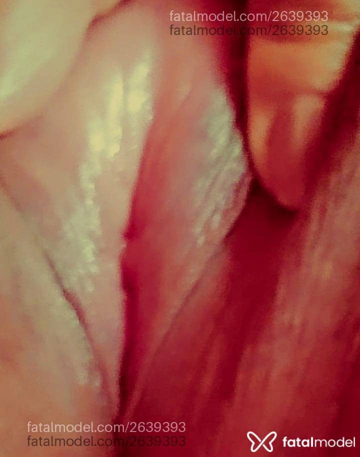 Acompanhante mulher com cabelo castanho de olhos castanhos em Lorena Acompanhante mulher com cabelo castanho de olhos castanhos em Lorena - Mellissa Lins