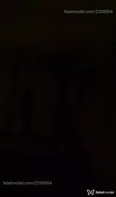 Vídeo 6
