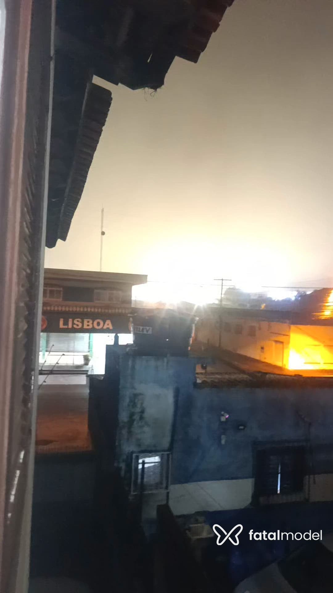 Vídeo 5