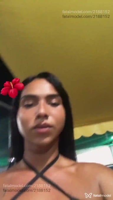 Acompanhante mulher trans morena (o) de olhos castanhos em Niterói - Julia Aguiar