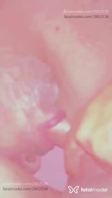 Acompanhante mulher trans com cabelo castanho de olhos mel em João Pessoa - Safyra